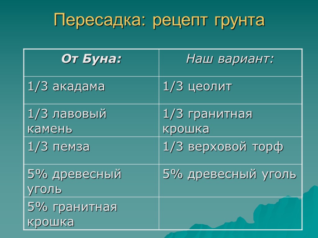 Пересадка: рецепт грунта